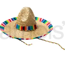 Adult Rainbow Edge Sombrero