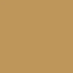 Beige Tissue Paper Sheets