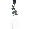 Black Rose