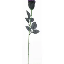 Black Rose