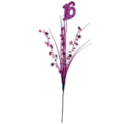 Cerise 16 Star Spray
