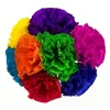 Chayo's Flowers (4")