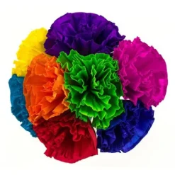 Chayo's Flowers (4")