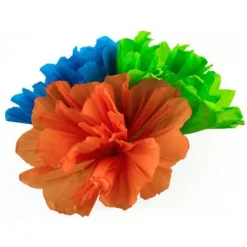 Chayo's Flowers (10")