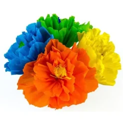 Chayo's Flowers (8")