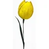 Cornhusk Tulip Flower