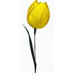 Cornhusk Tulip Flower