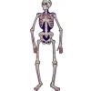Day of the Dead Jointed Skeleton