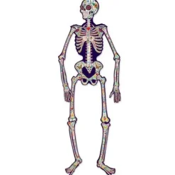 Day of the Dead Jointed Skeleton