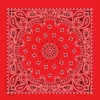 Deluxe Red Bandana
