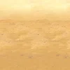 Desert Sand Backdrop