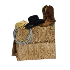 3-D Western Centerpiece