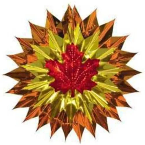 Fall Leaf Fan Burst