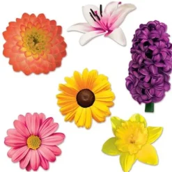 Flower Cutouts