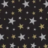 Gold and Silver Star Backdrop