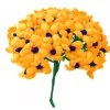 Golden Yellow Terecitas Flowers