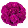 Hot Pink Carnations