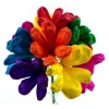 Jumbo Terecitas Flowers