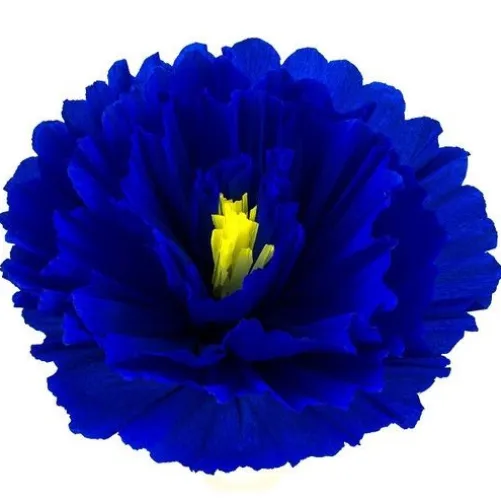 Large Dahlia Flower