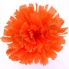 Large Orange Marigold
