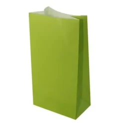 Lime Green Paper Sacks