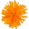 Marigold Flower