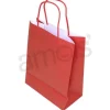 Medium Red Gift Bag