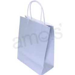 Medium Silver Gift Bag