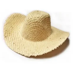 Mini Straw Western Hat