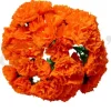 Orange Carnations