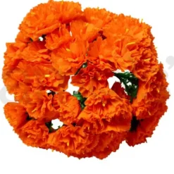 Orange Carnations