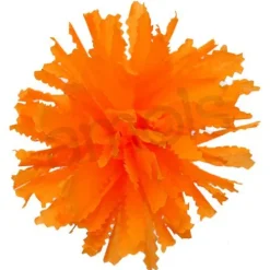 Orange Marigold