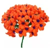 Orange Terecitas Flowers