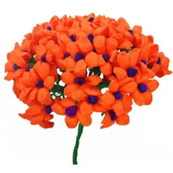 Orange Terecitas Flowers