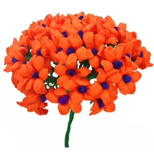 Orange Terecitas Flowers