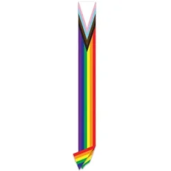 Pride Flag Satin Sash