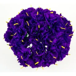 Purple Carnations