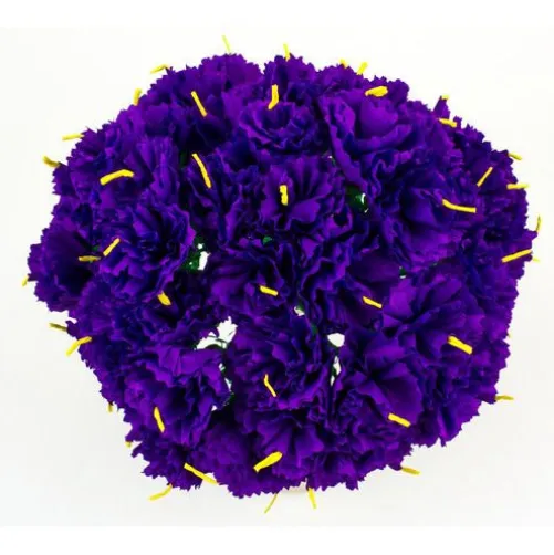 Purple Carnations