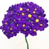 Purple Terecitas Flowers