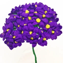 Purple Terecitas Flowers