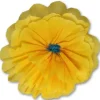 Rachel's Golden Yellow Flower