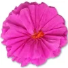 Rachel's Hot Pink Flower