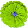 Rachel's Lime Green Flower