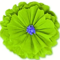 Rachel's Lime Green Flower