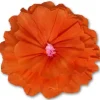 Rachel's Orange Flower