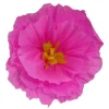 Rachel's Pink Flower