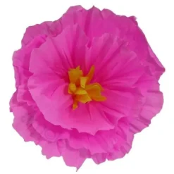 Rachel's Pink Flower