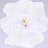 Rachel's White Flowers
