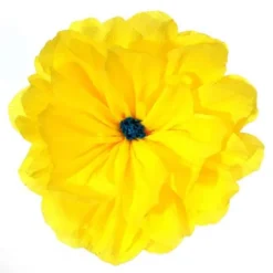 Rachel's Yellow Flower