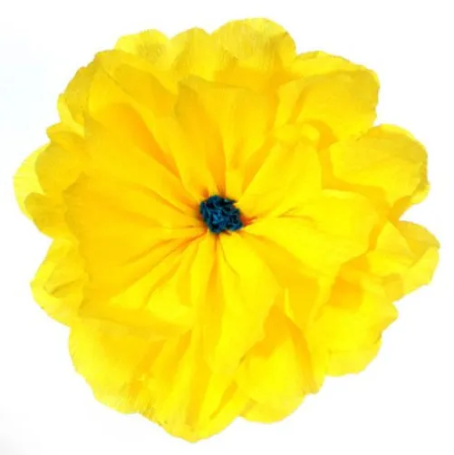 Rachel's Yellow Flower